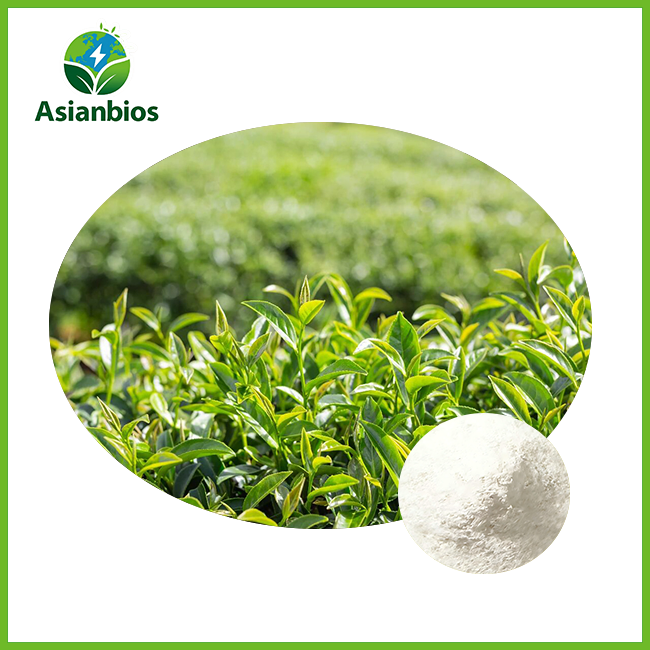 best l theanine powder